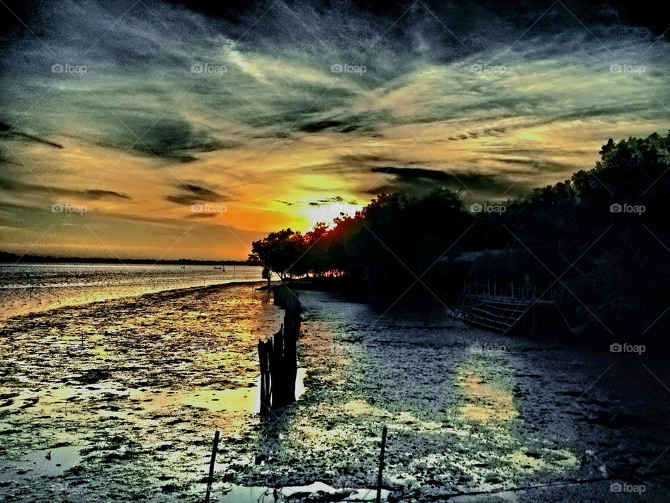 MIRACLE OF LIGHT AT THE CAPE