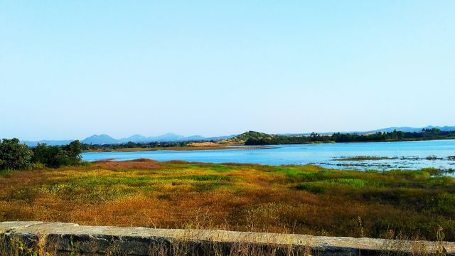 colorful nature