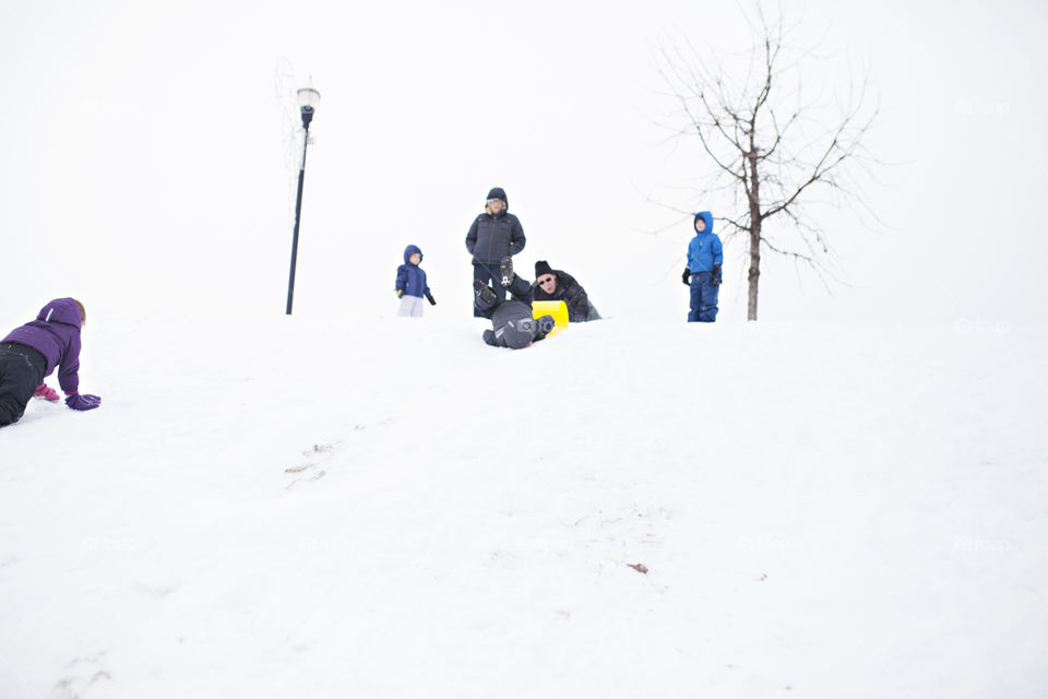 Kids sledding in snow 