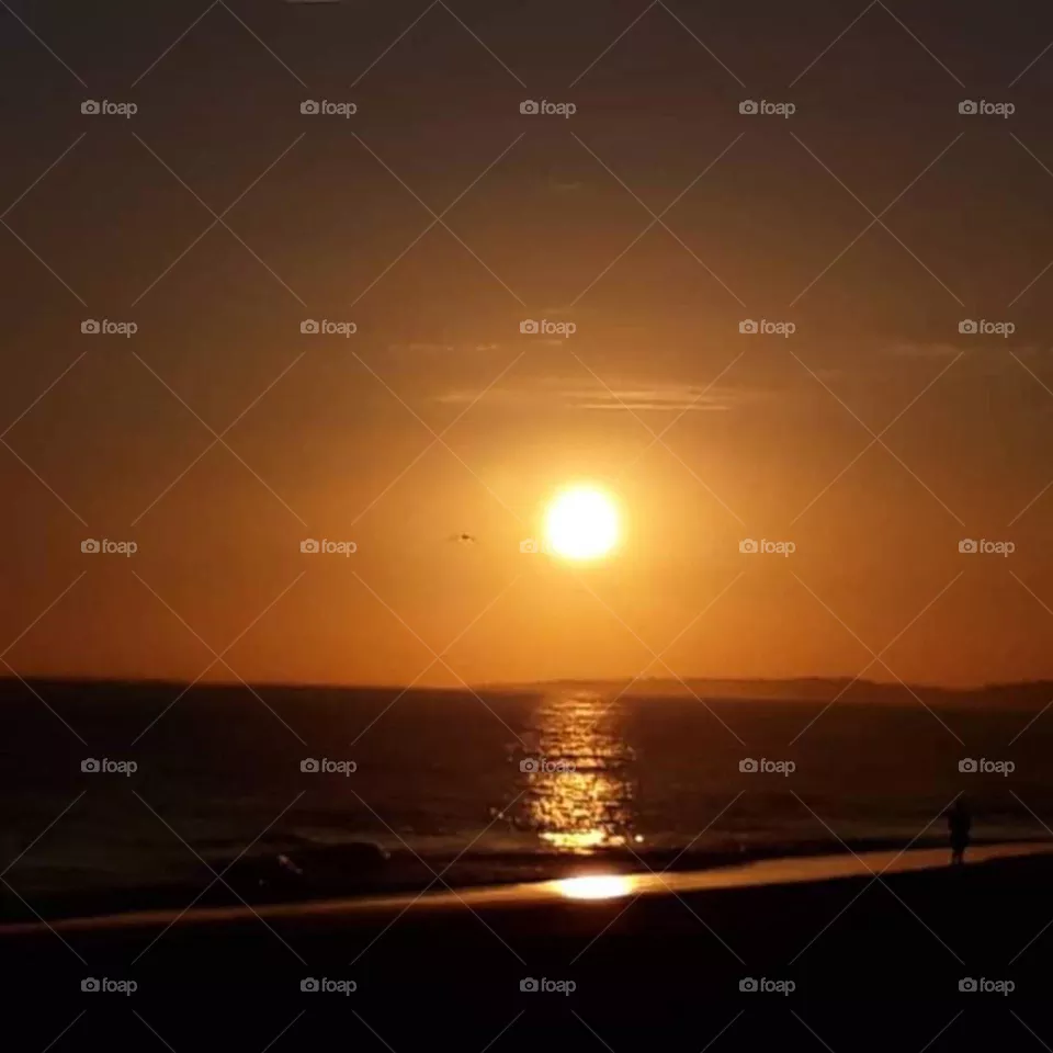 Perfect Planet