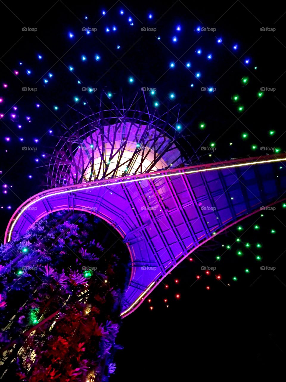 Light Up. A part of Supertrees Light and Sound Show at the Garden by the Bay, Singapore