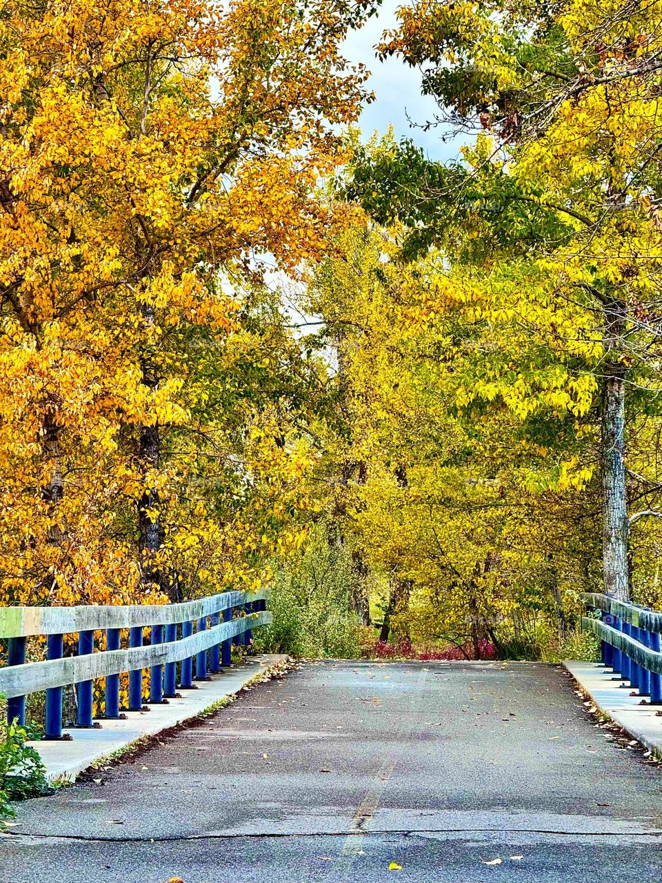 AUTUMN BEAUTIFUL BRIDGE