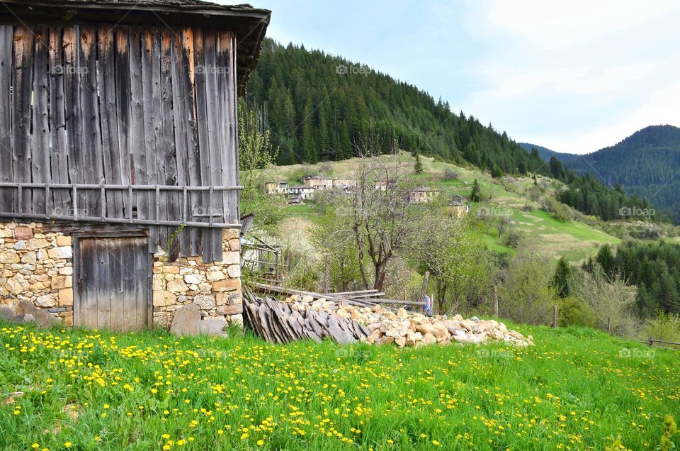 Spring landscape in the Mountain, Bulgaria, Rhodope Mountains