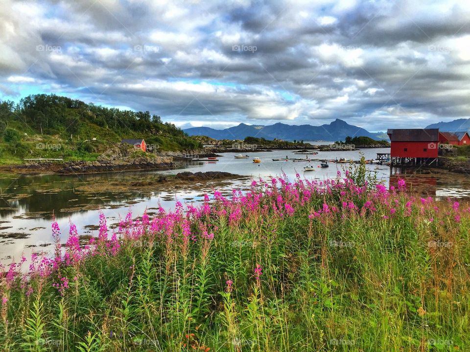 Lofoten Islands