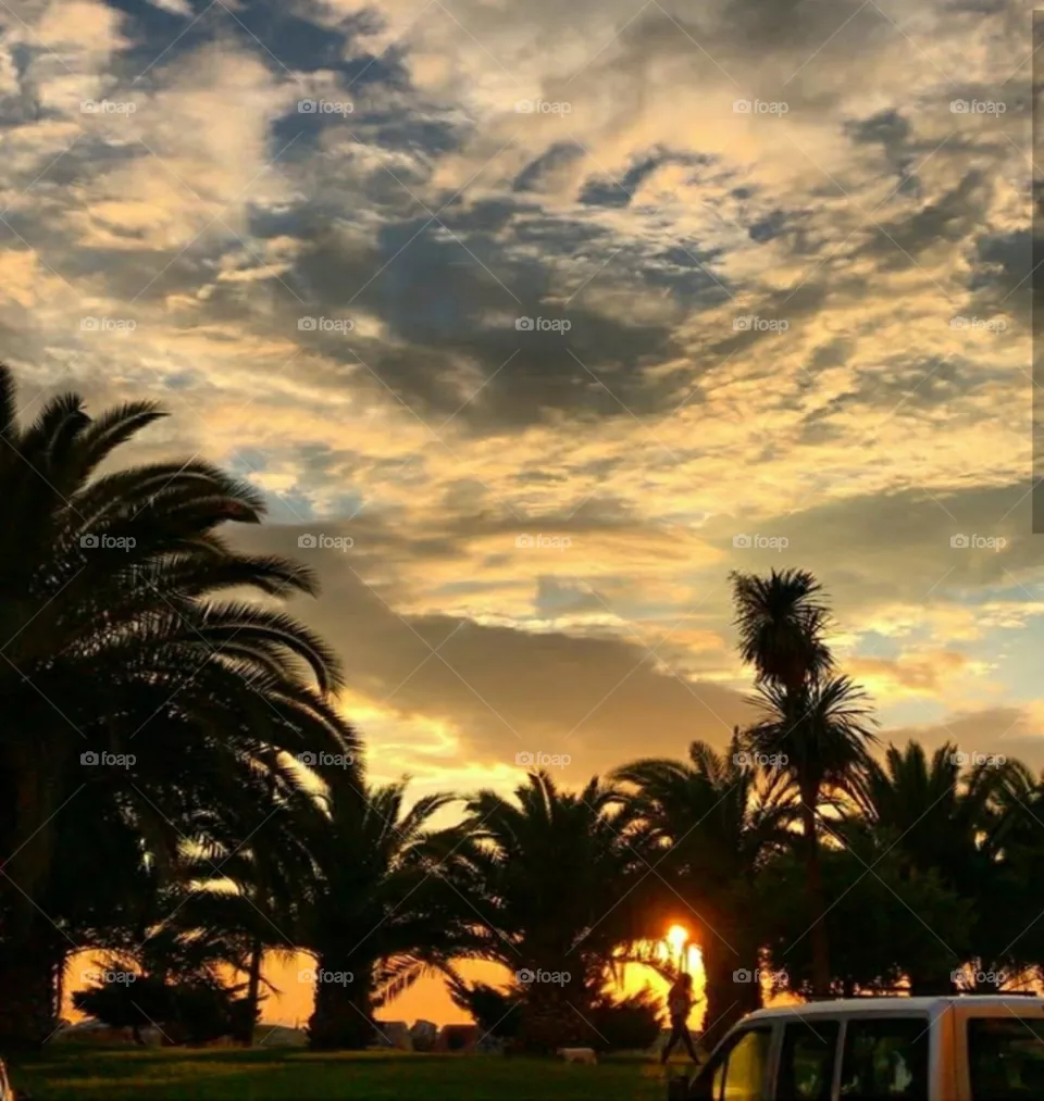 🌞