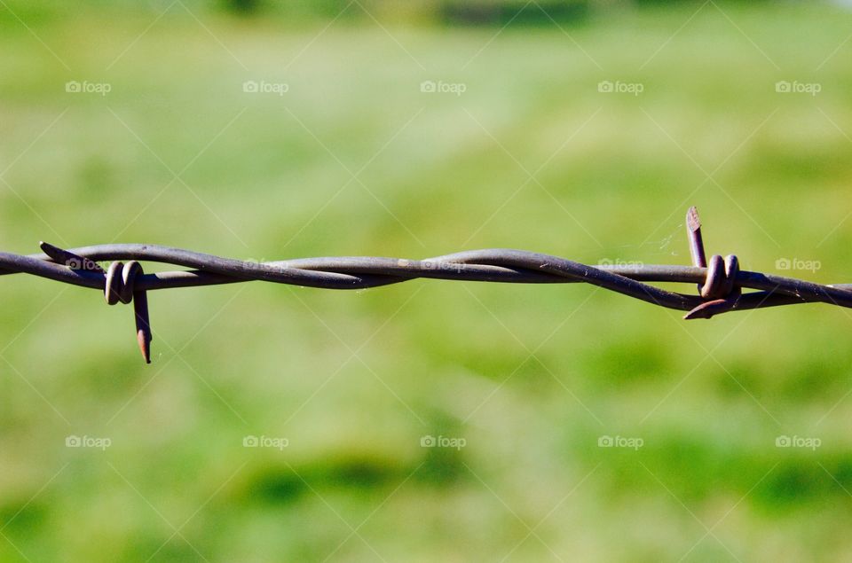 Minimalistic Snaps - barbed wire 
