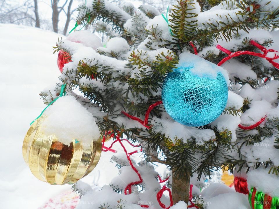 New Year's toys on a pine tree