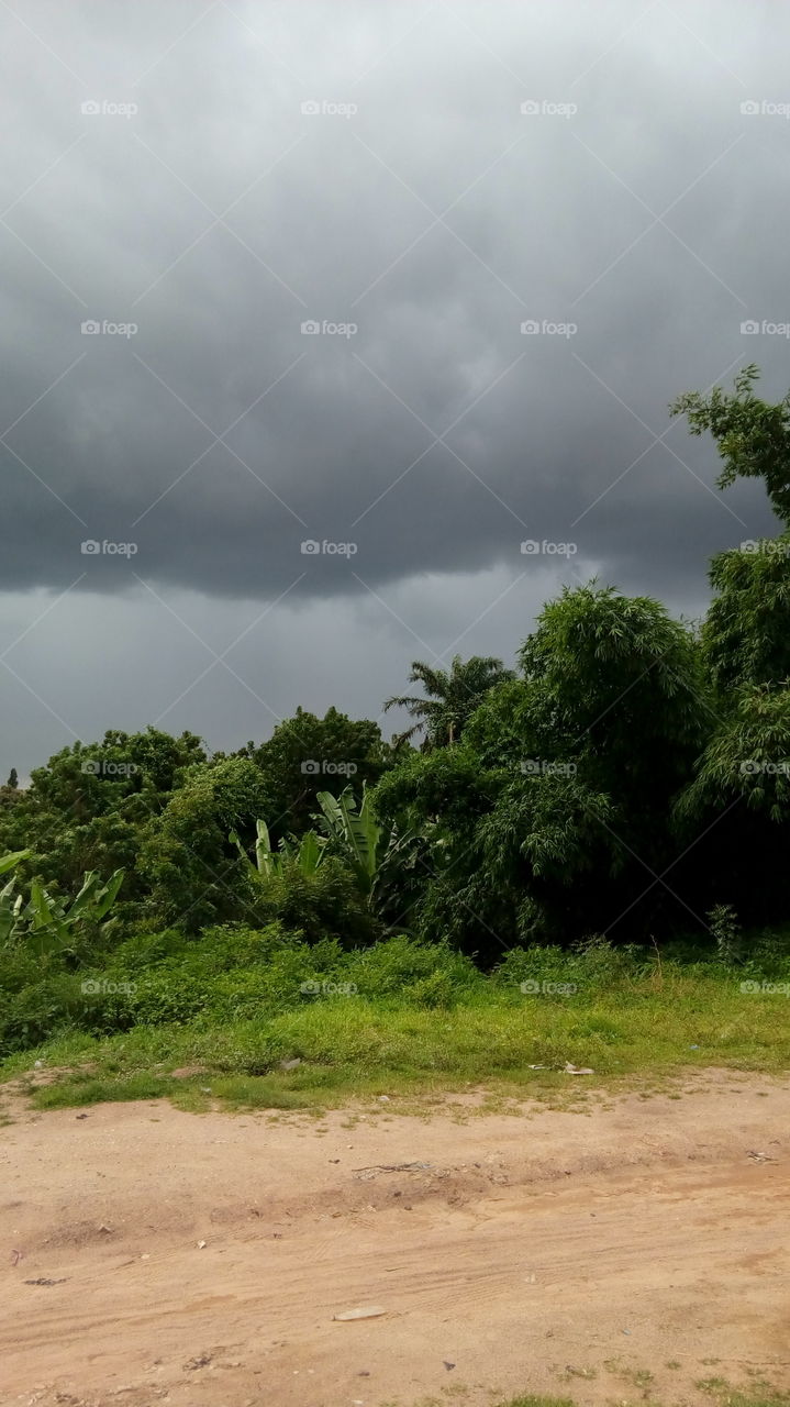 cloudy, rain about to fall