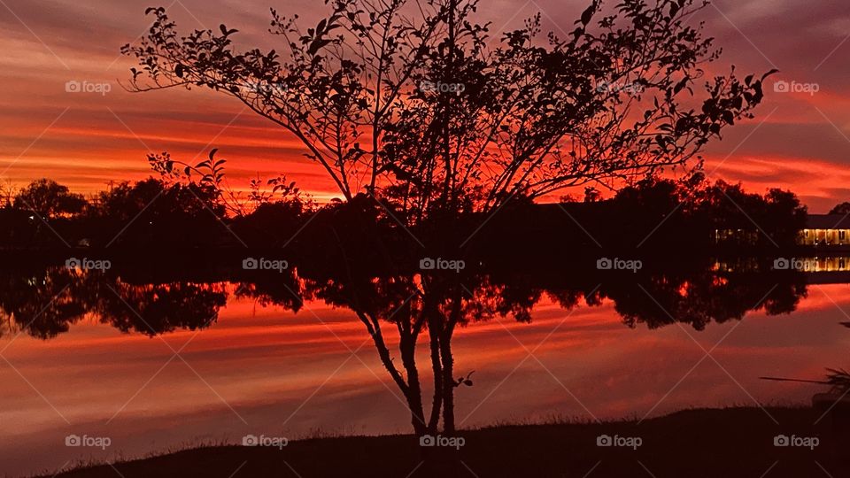 Absolutely Gorgeous setting with a Fiery Red scene. Just enough colour to set the evening off to more Beautiful. 