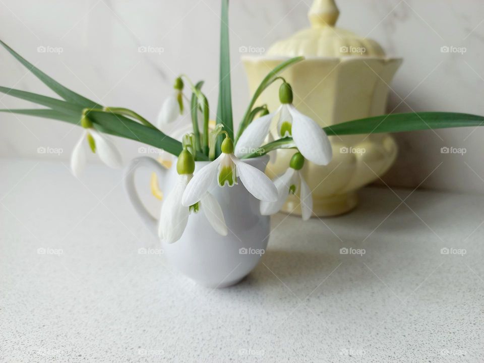 bouquet with snowdrops.