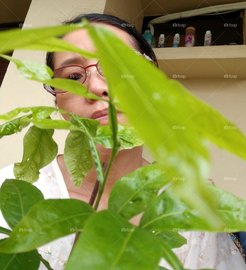 Selfie Time!: selfie behind my beloved plant"Inga vera Willd".