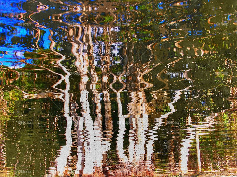 lake ainsworth refections