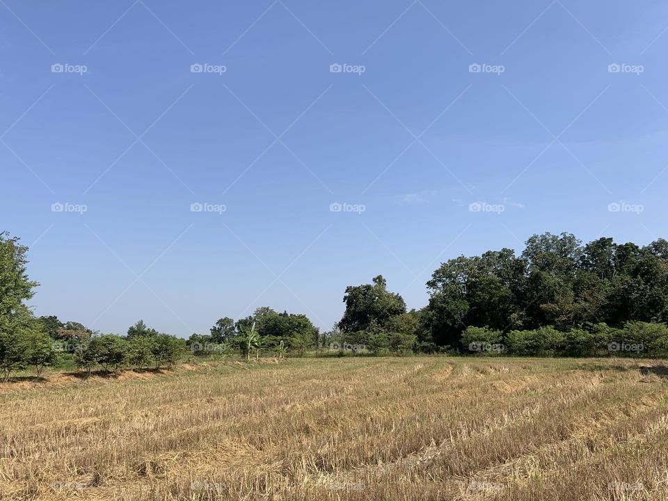 Editor’s choice : Photo of the week, Countryside (Thailand)