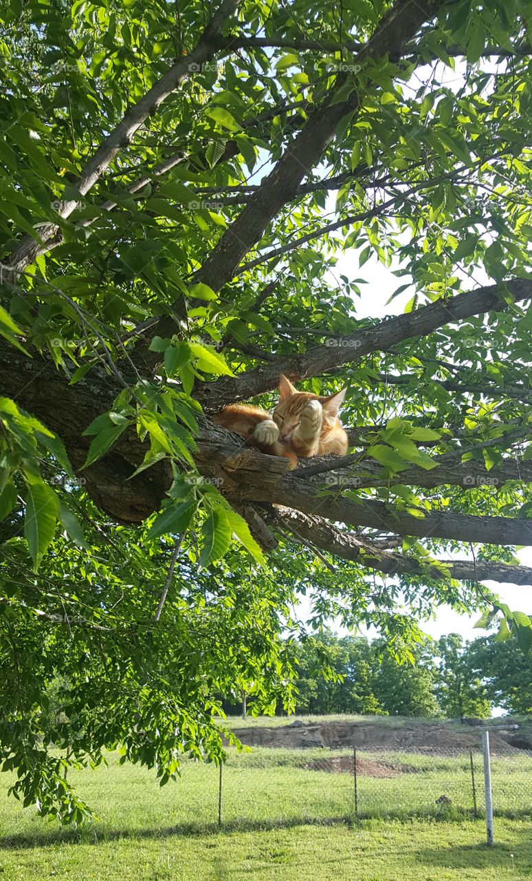 I love my naps! That's what lazy days are for!