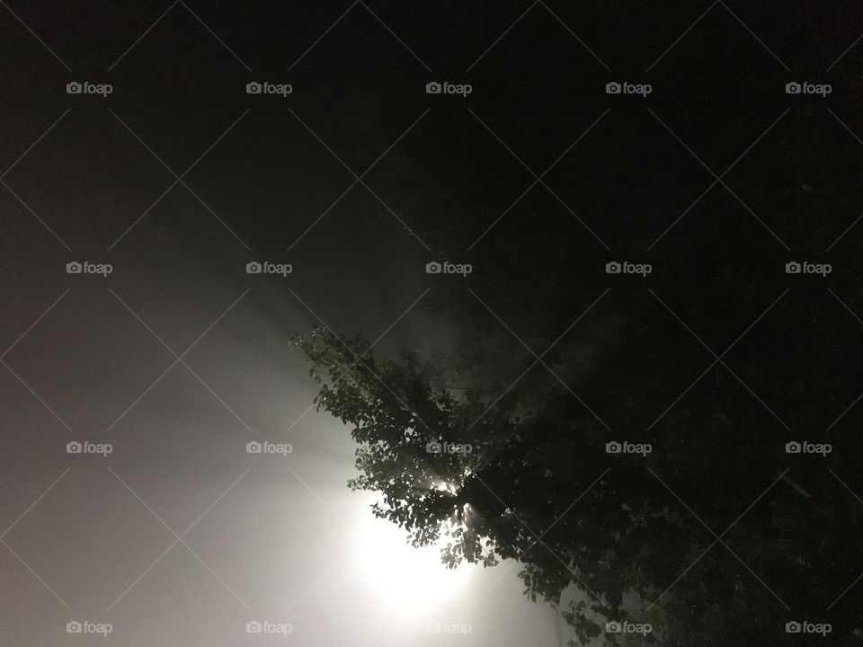 Light rays at night.