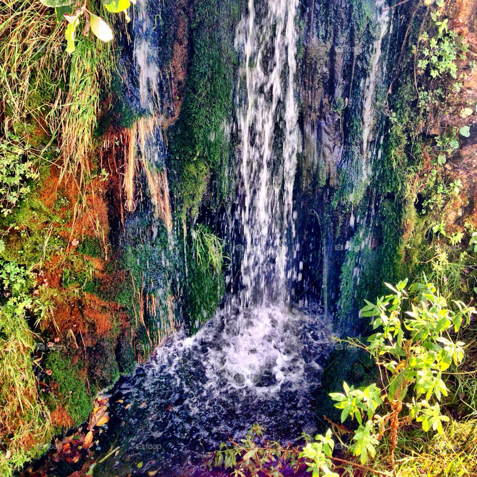 grass trees lake waterfall by craigyman