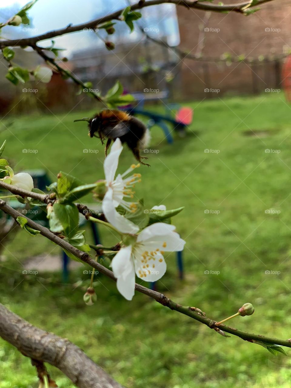 Spring 🐝