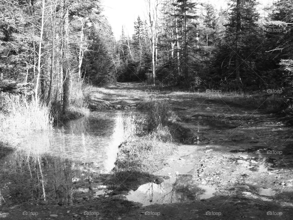 Drummond Island, Michigan 