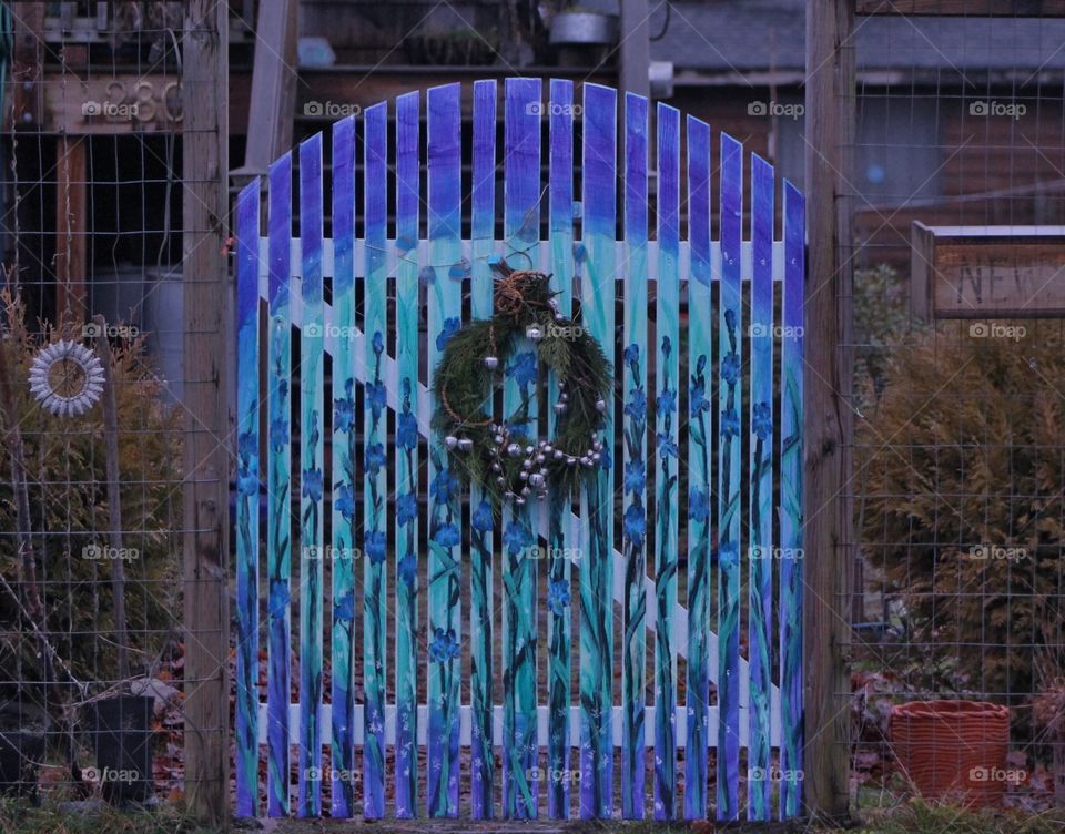 A photo of a garden gate with irises painted in shades of indigo and cyan and white. There is a small pine wreath wrapped with a garland of silver balls hanging on the middle of the gate. 