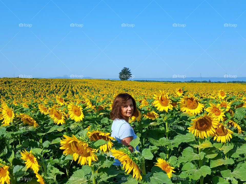 Woman standing in the sunflower field
