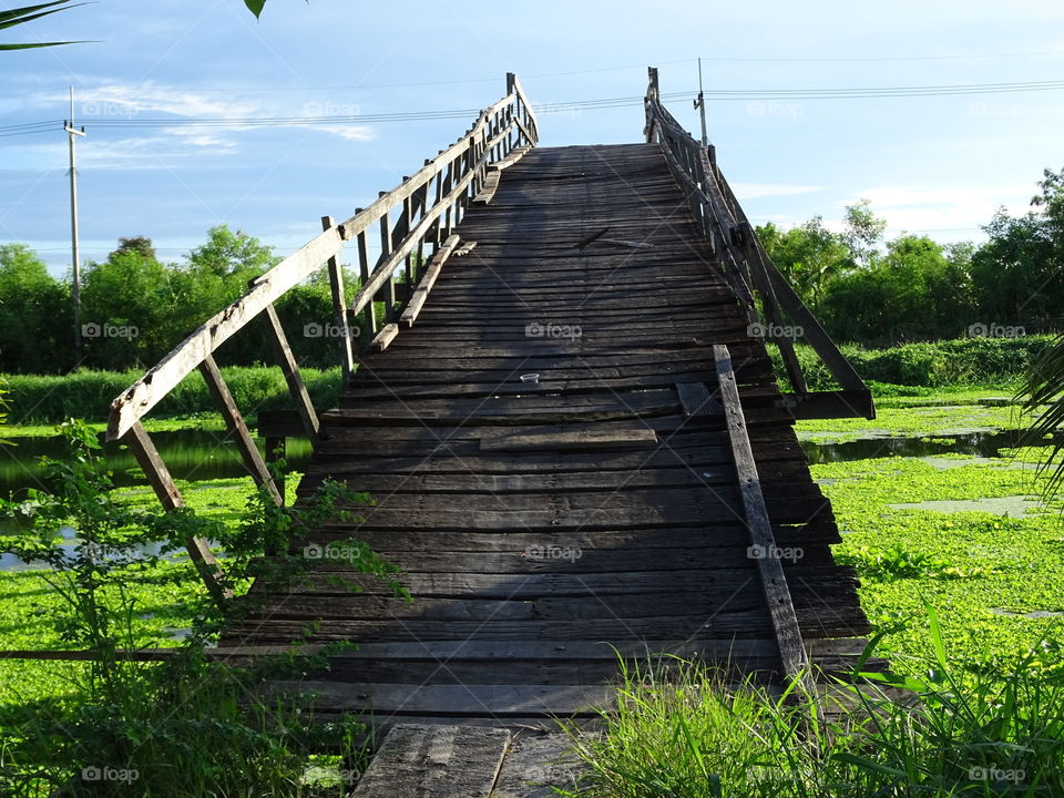 canal wood brigde. canal wood brigde nature of life