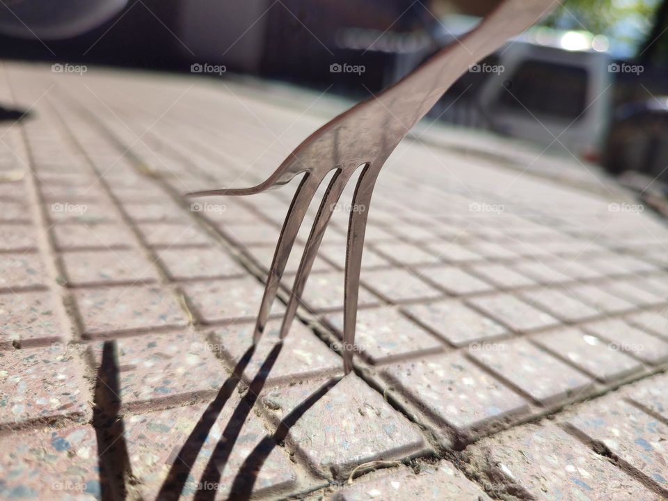 Forks