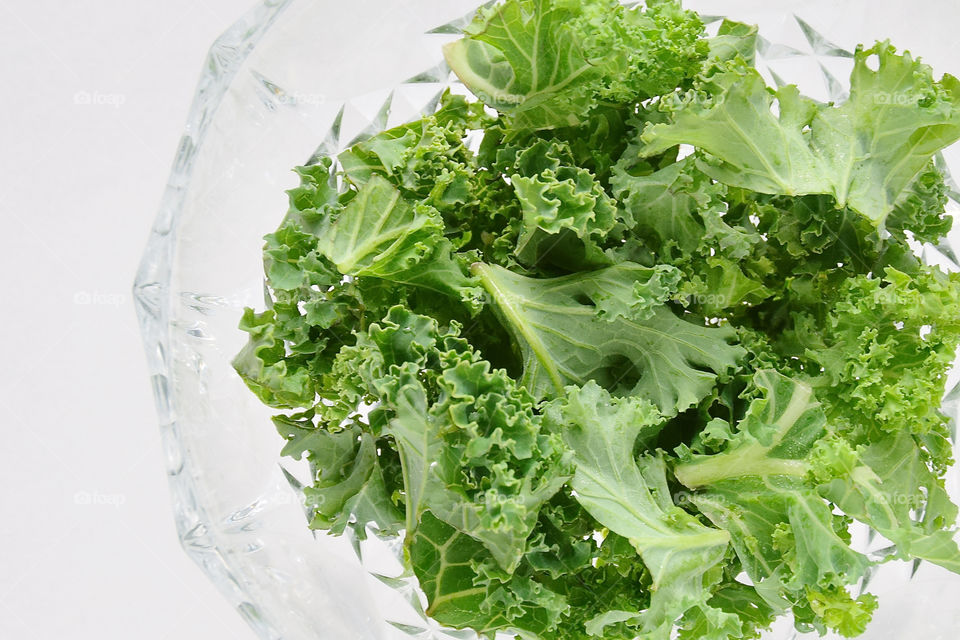 Green Color story; pop of color green, kale on high key white background