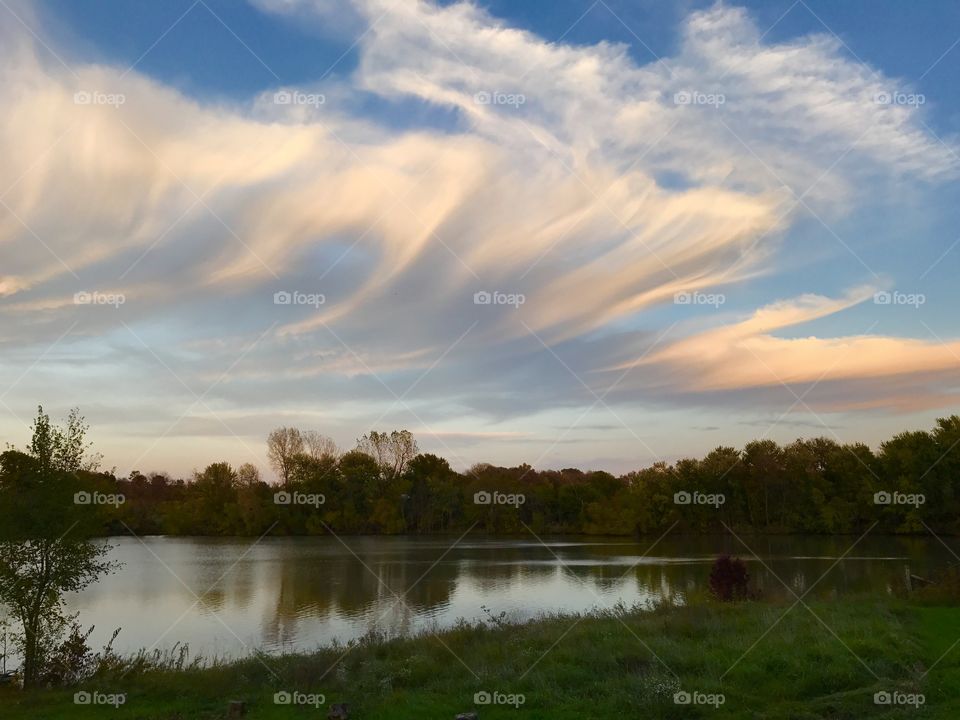 Trees reflecting in the lake