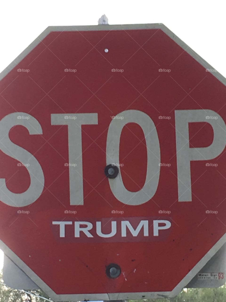 Stop sign with anti-Trump graffiti 