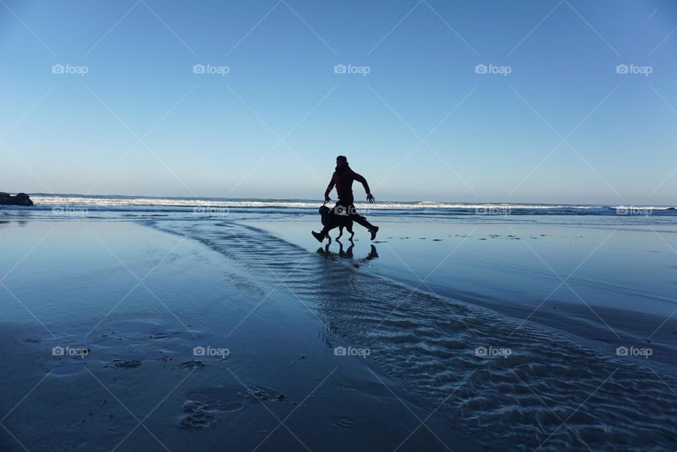 Sunrise#beach#ocean#human#dog