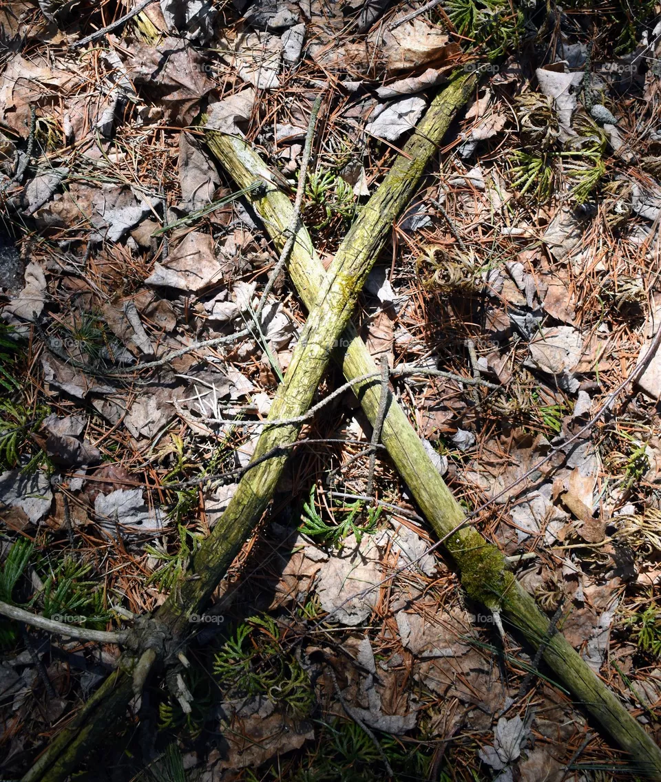 X marks the spot