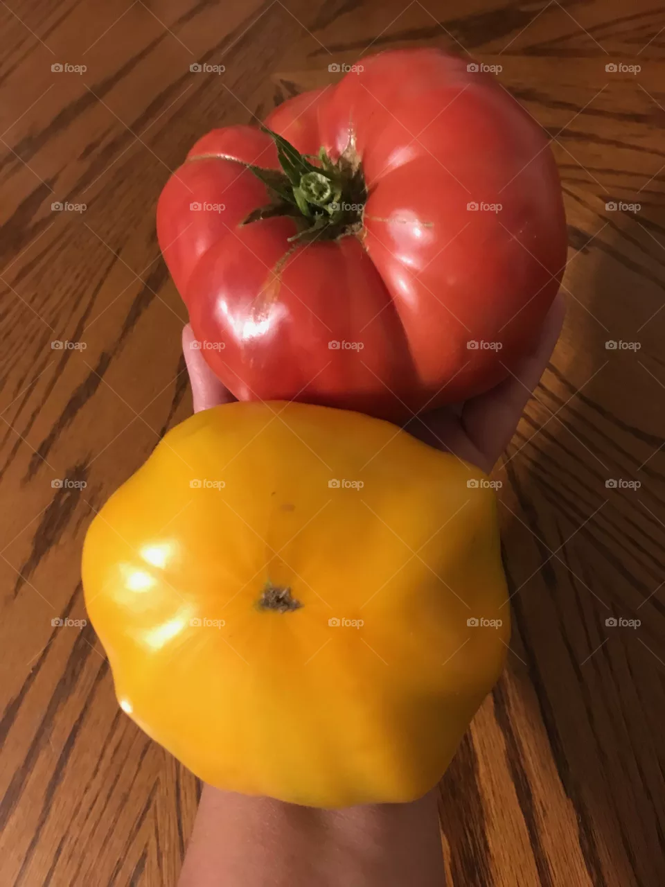 Tomatoes 