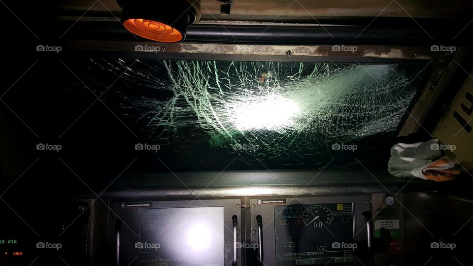 train meets tree. not good for either.