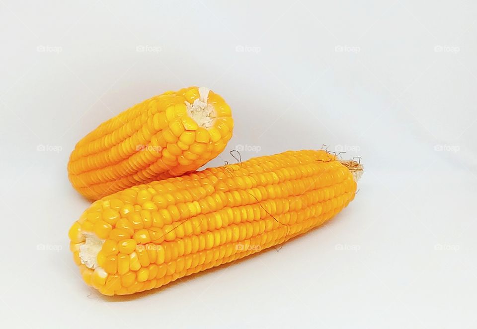 corn,maize