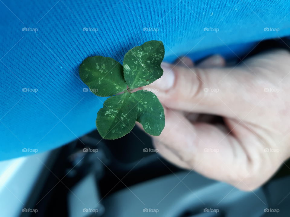 luck of the irish