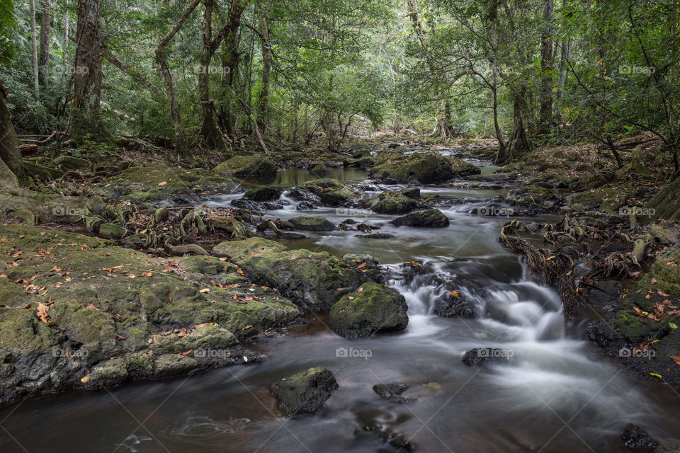 Waterfall in the forest 