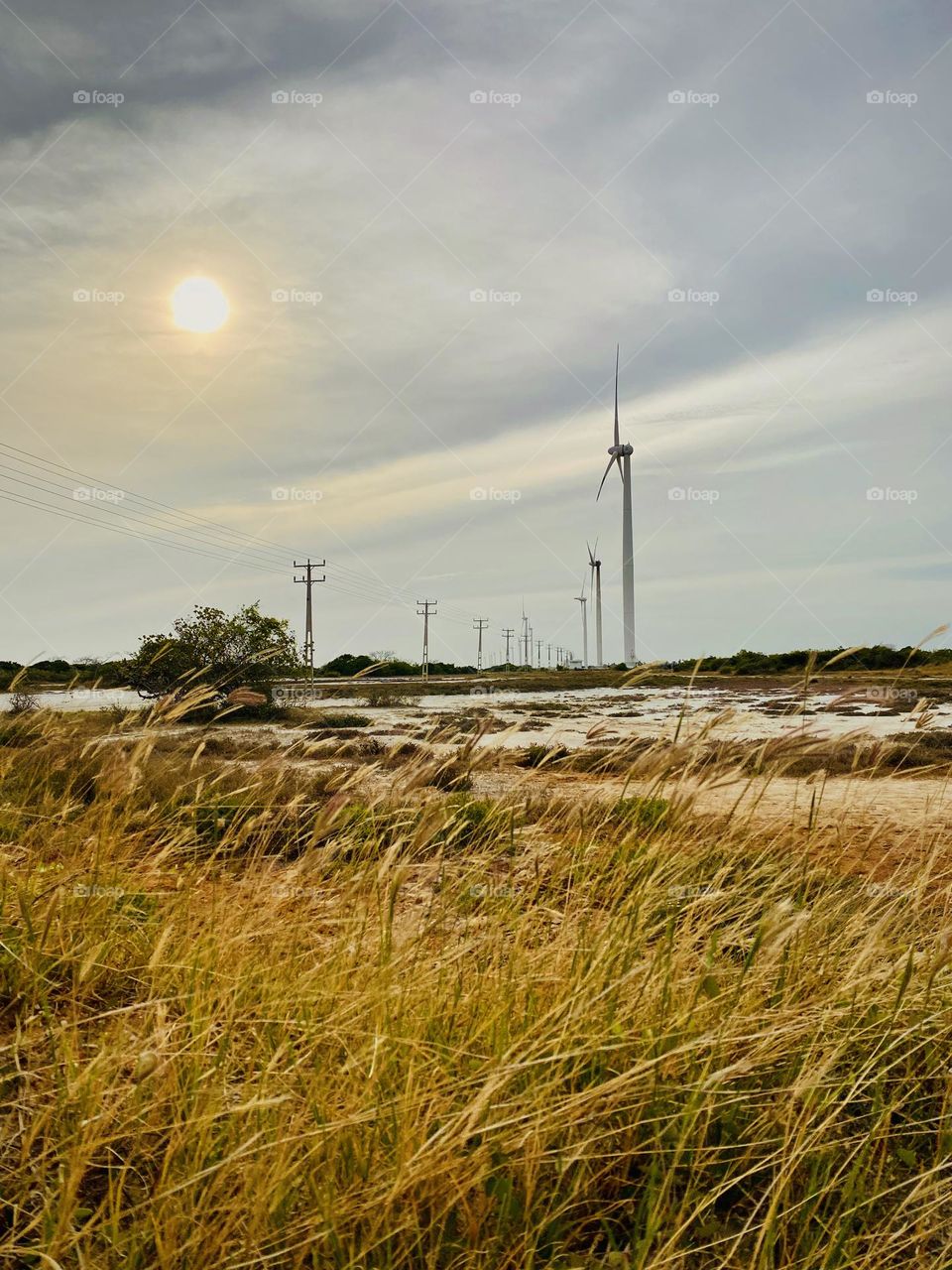 Sunrise wind power plant in jaffna summertime 