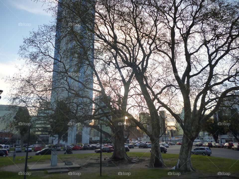 Puerto Madero sunlight