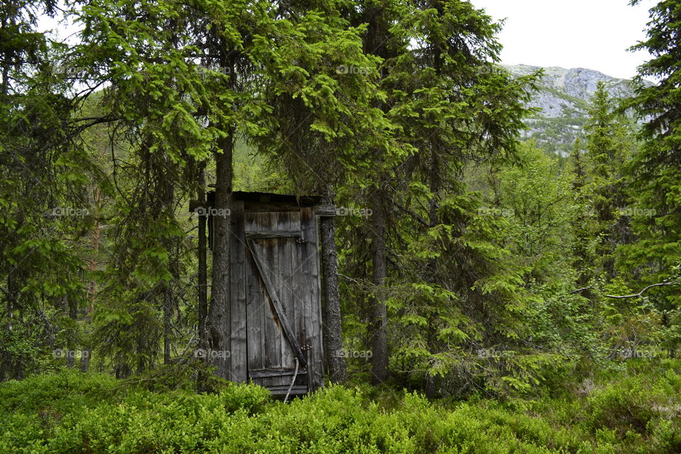 Little house WC