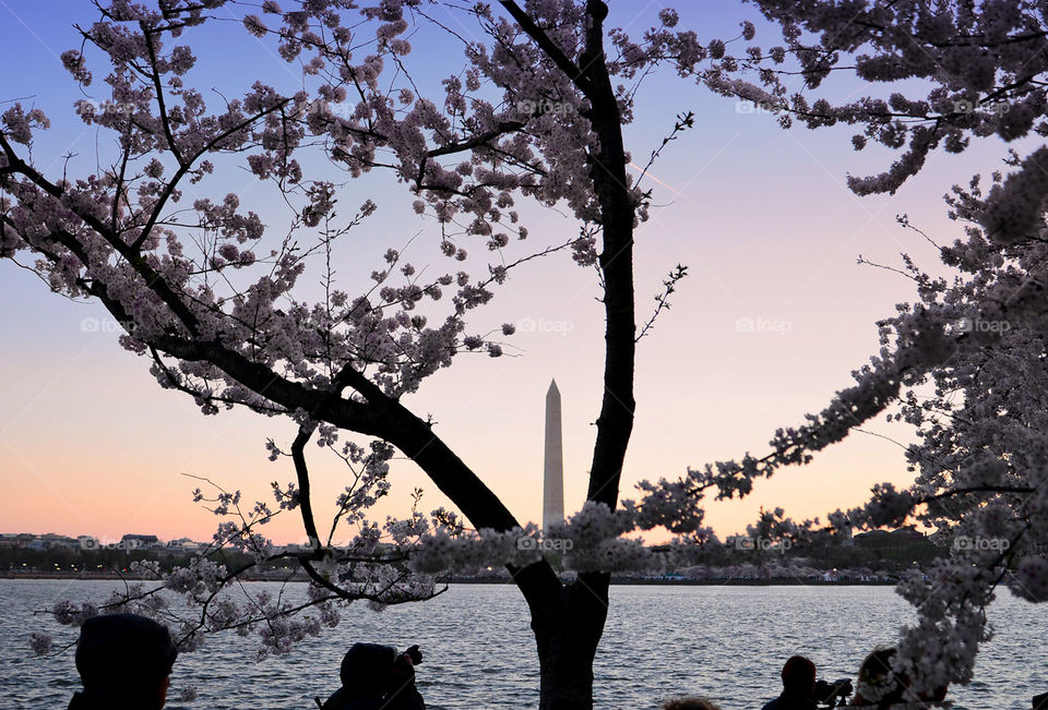 Washington monument