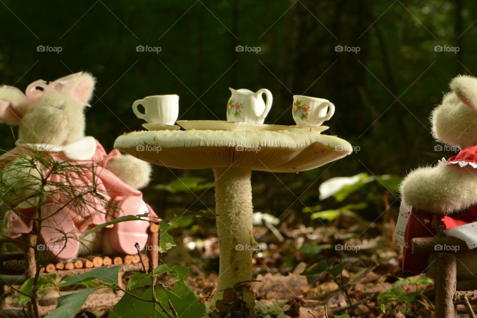 Bunny Tea Party