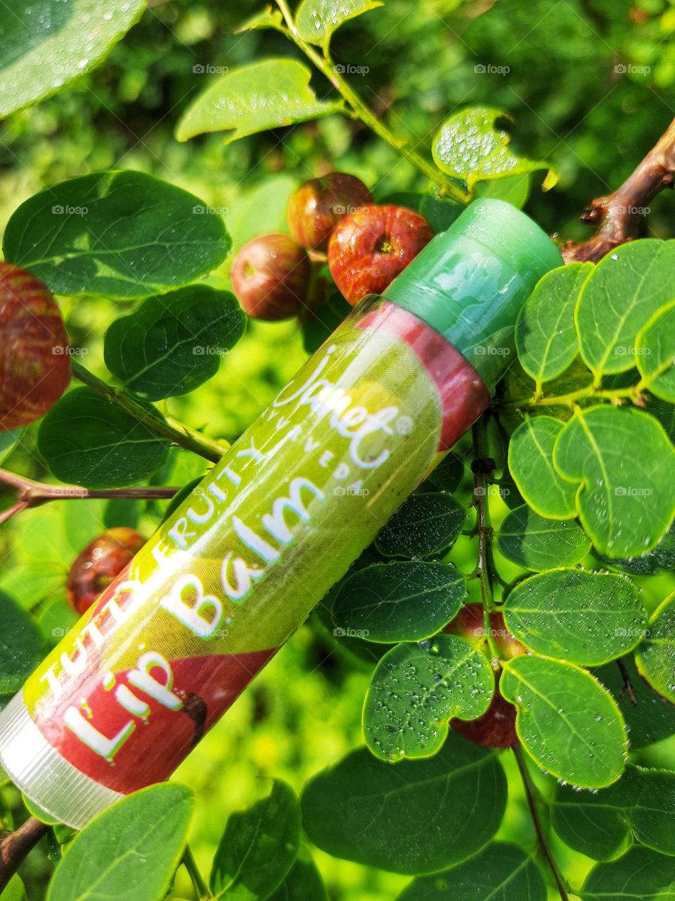 janet tutty fruity natural lip balm and Black Honey Shrub tree