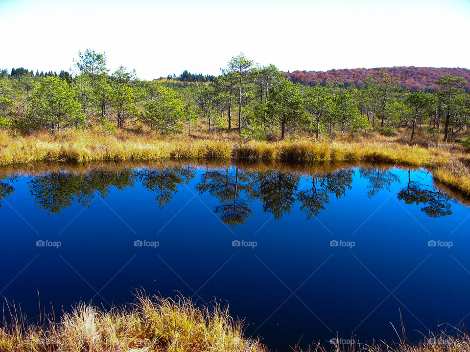 Trees reflected on lake in autumn