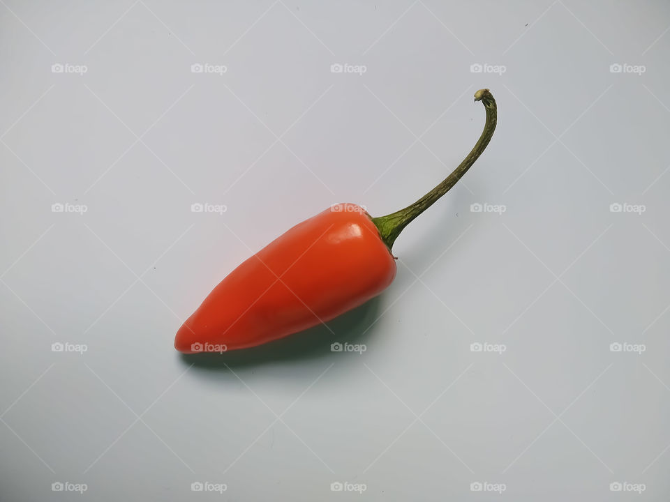 Red Chilli on white background