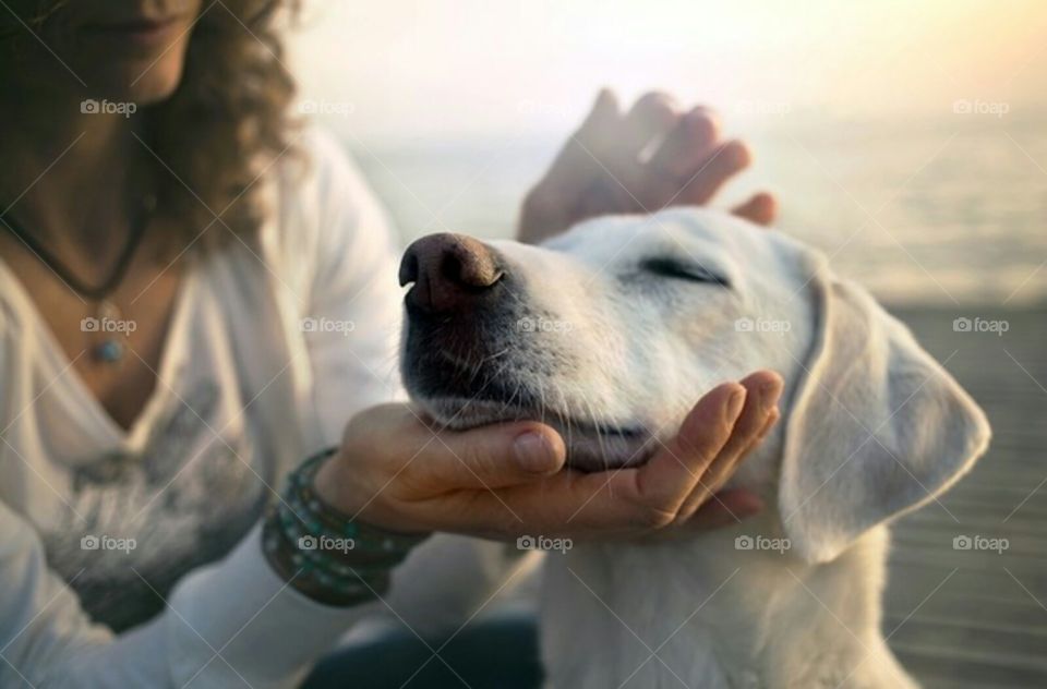 Family moment of love with your dog