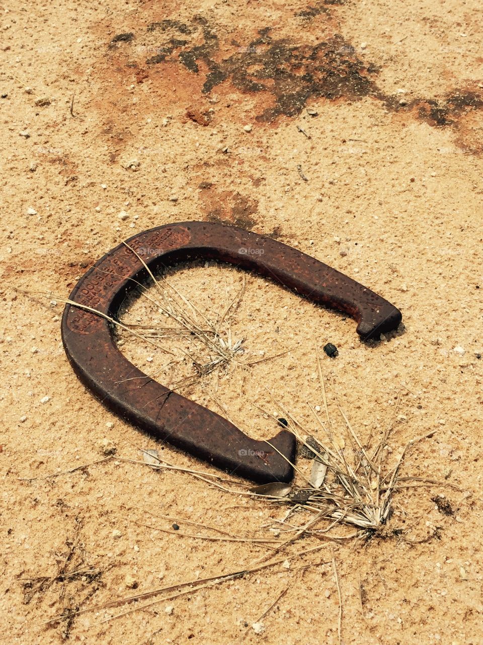 rustic horseshoe