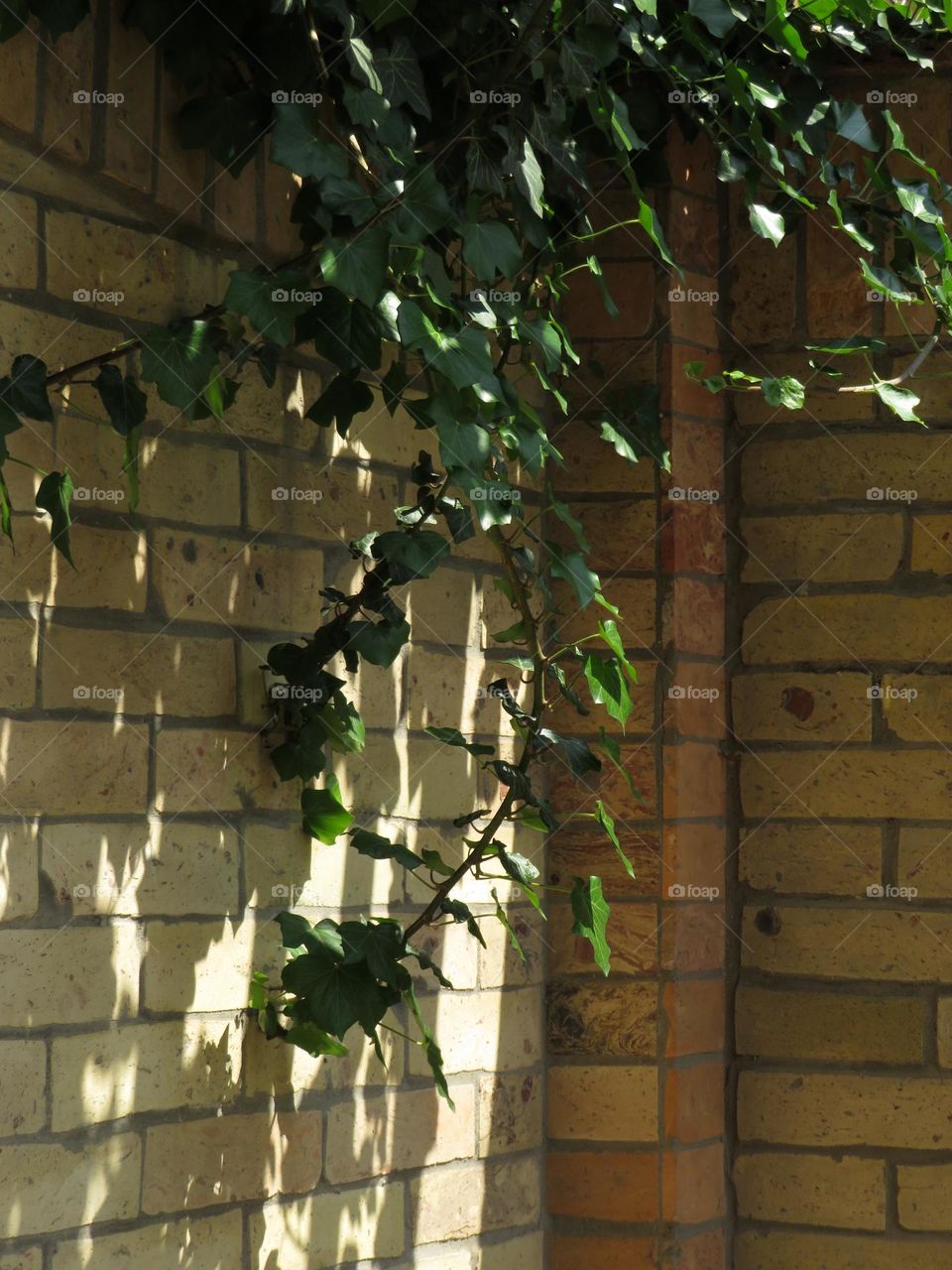 Small touch of nature