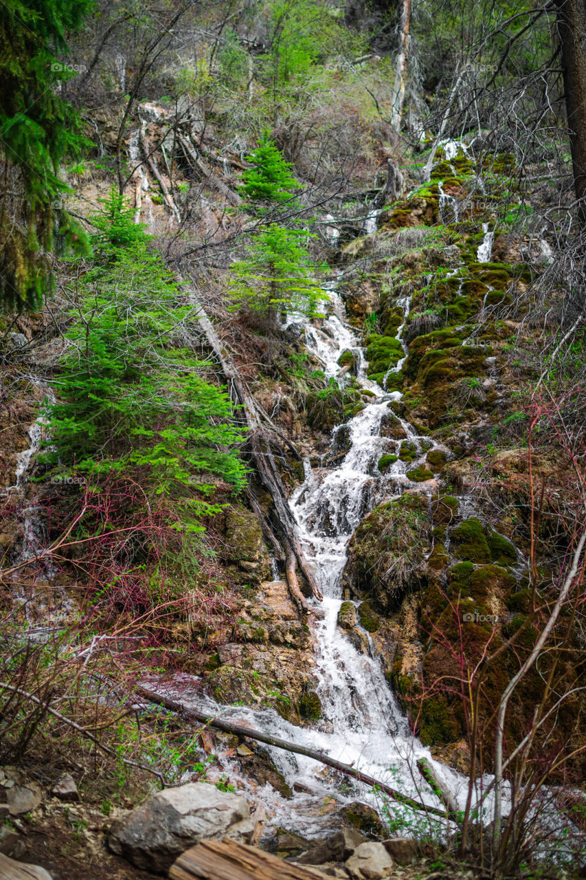 Flowing water throughout the Colorado mountains. 