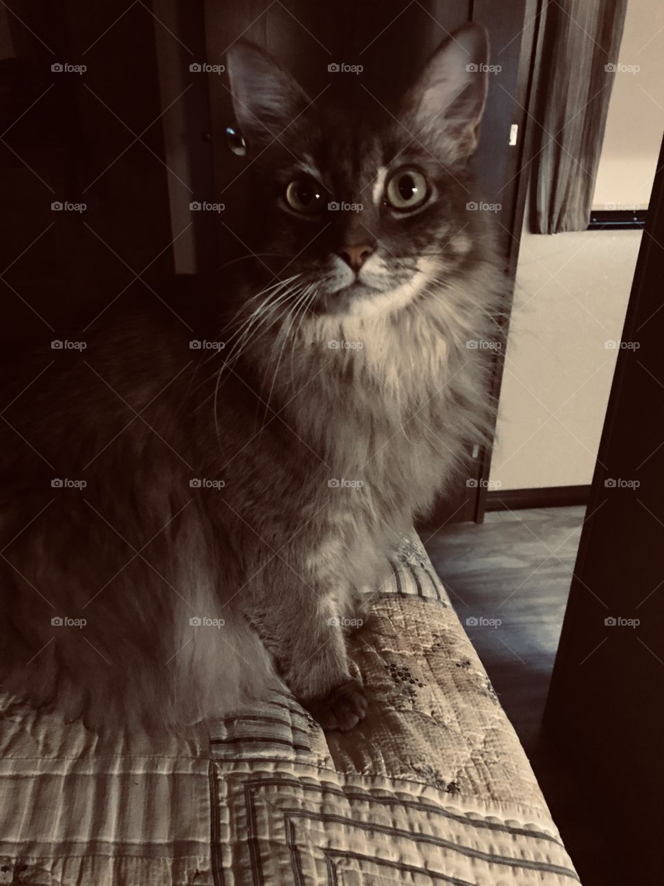 Don’t scare me. There can be some stiff penalties for doing this to me. 