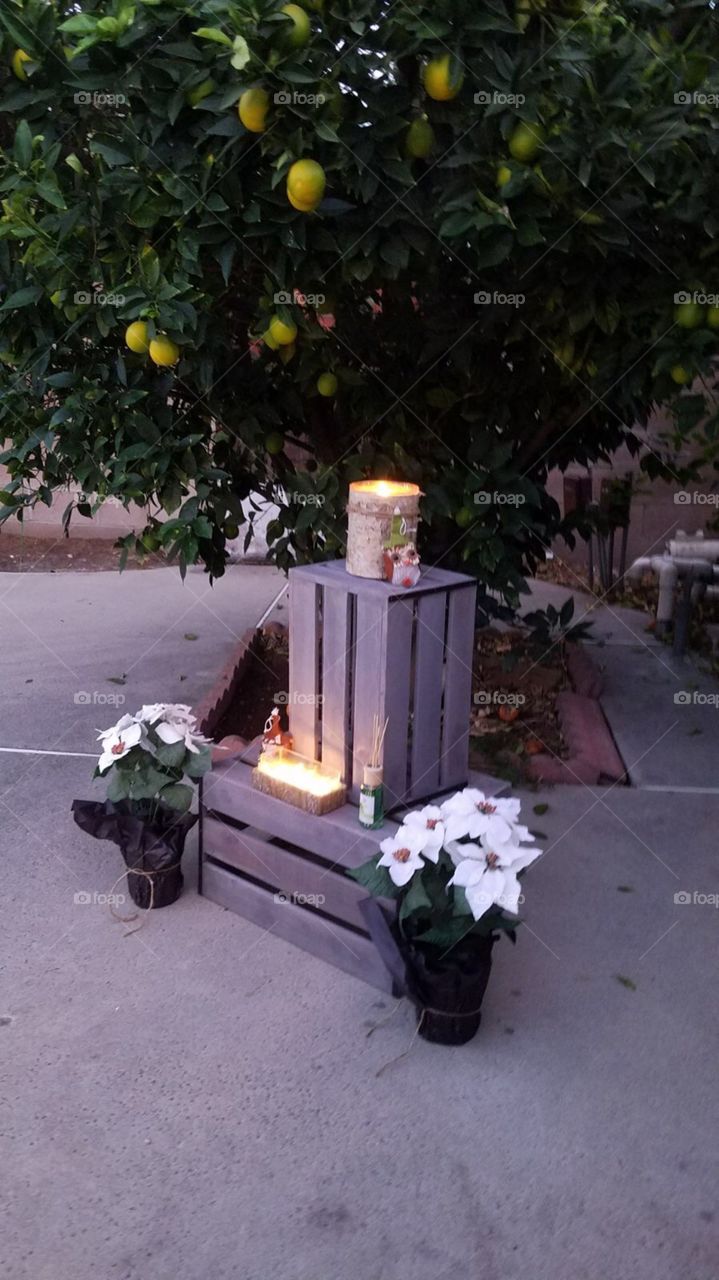 Candles, flowers 